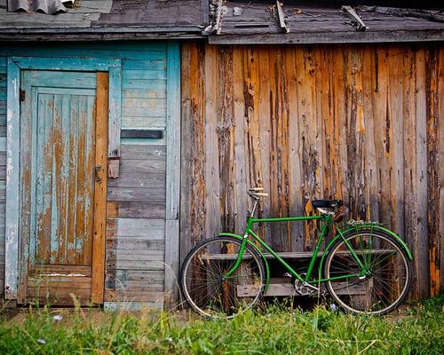 Nông sản tươi ngon NAVICOP đạt chuẩn VietGAP và chất lượng quốc tế