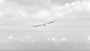 5 loại gia vị không thể thiếu trong bếp Việt - Hướng dẫn chọn và bảo quản