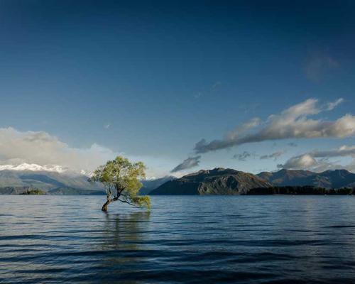 Combo nhà hàng chuyên dụng NAVICOP - Tiết kiệm chi phí, chất lượng đồng đều