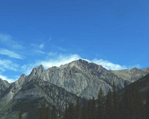 Bộ gia vị khô cao cấp NAVICOP - Tiêu đen, ớt bột, ngũ vị hương cho nhà hàng và bếp công nghiệp